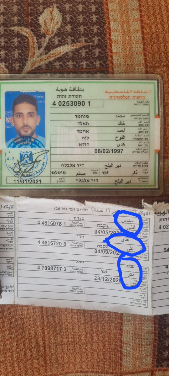 🔻Mohammed In GAZA🍉 🇵🇸 tweet media