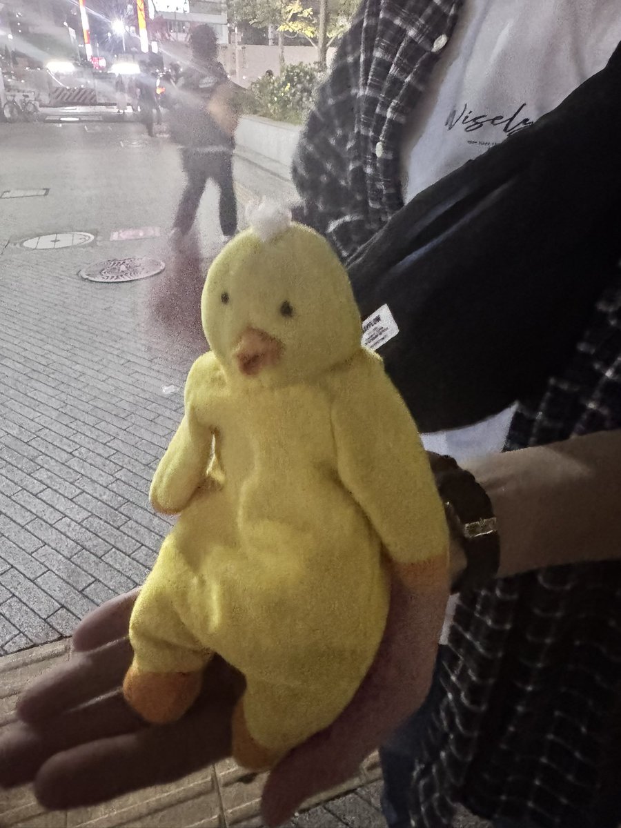 ハセガマン tweet media