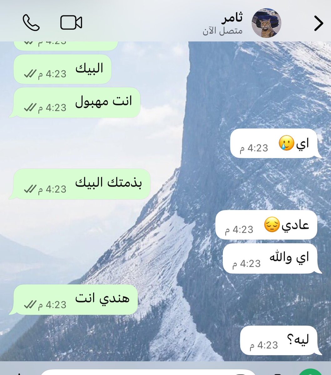 مريم tweet media
