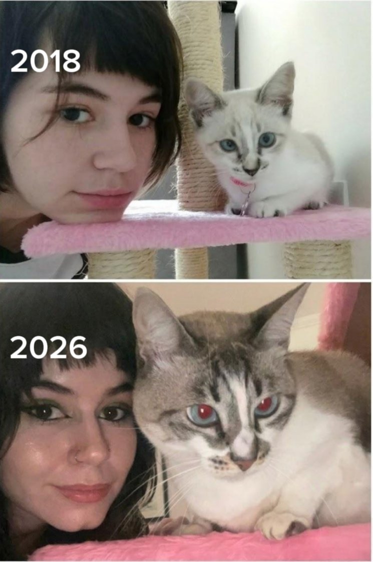 We don't deserve cats 😺 tweet media