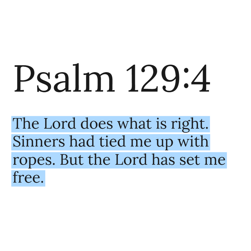 Holy Bible tweet media