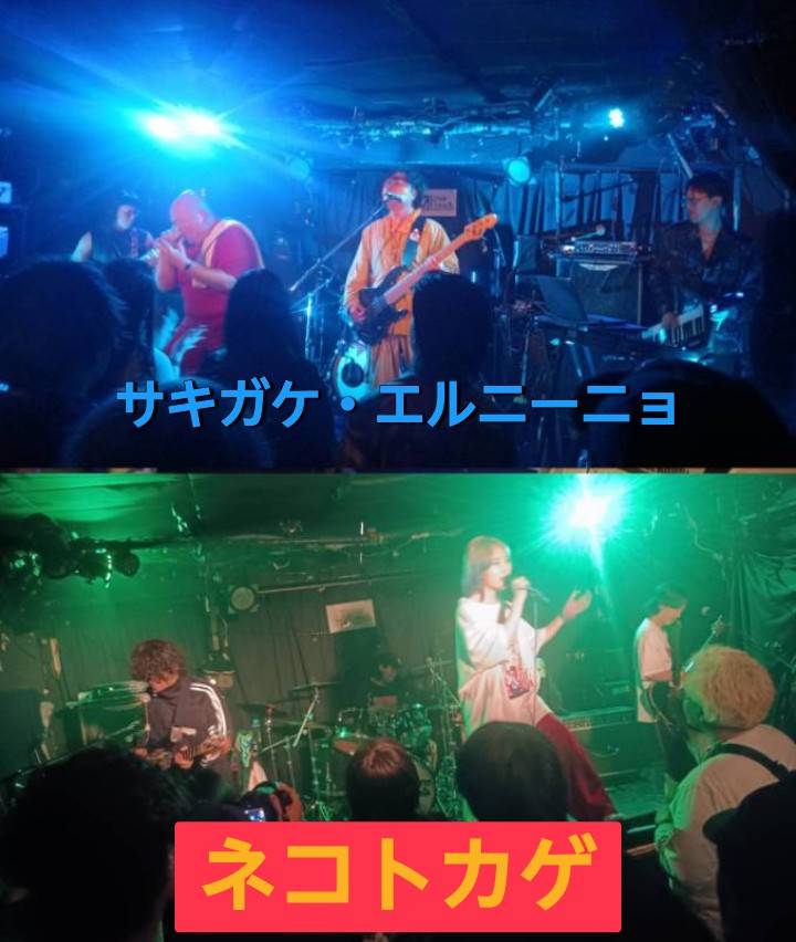 パーミー tweet media