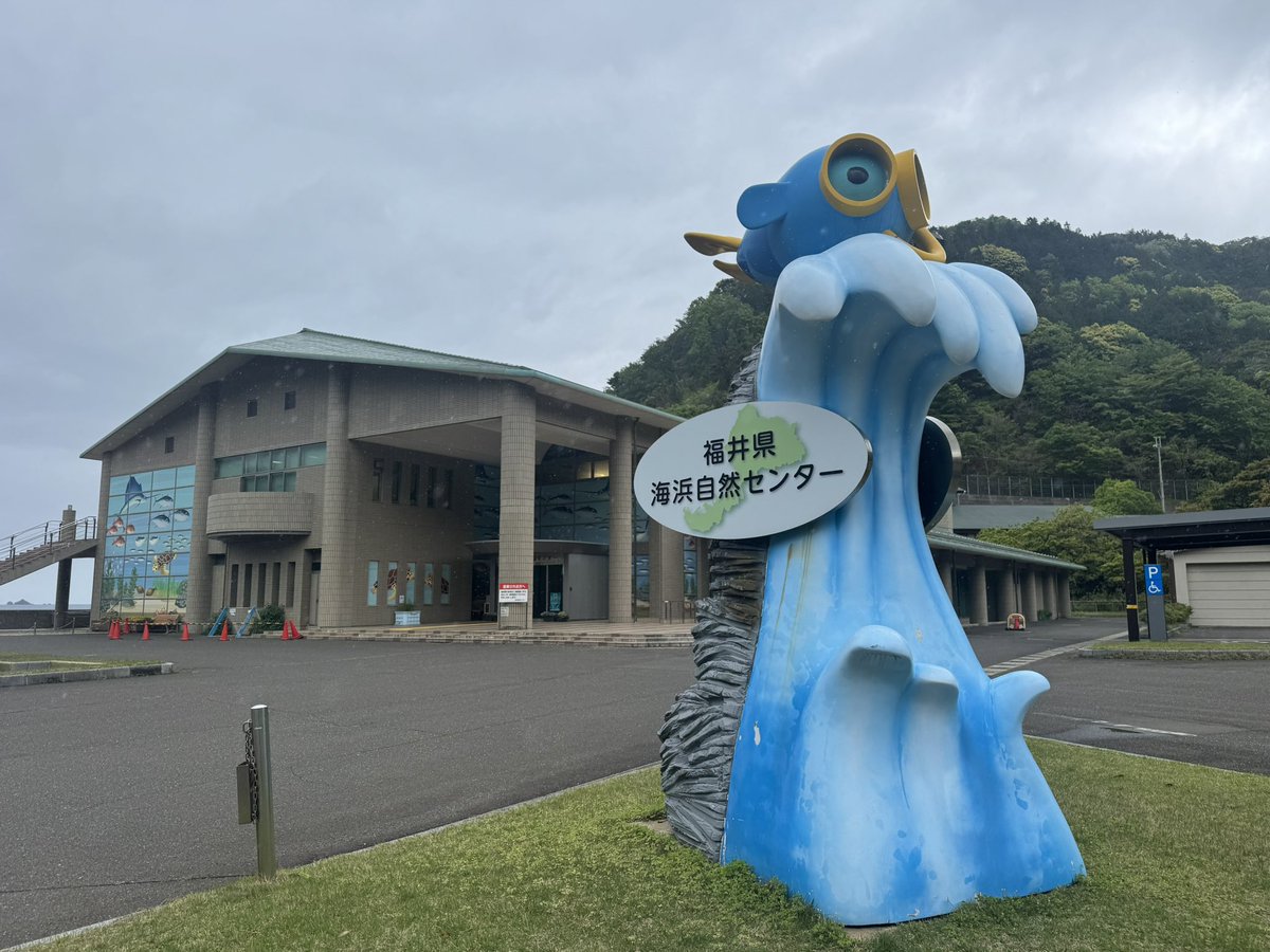 よちこ🍺 tweet media