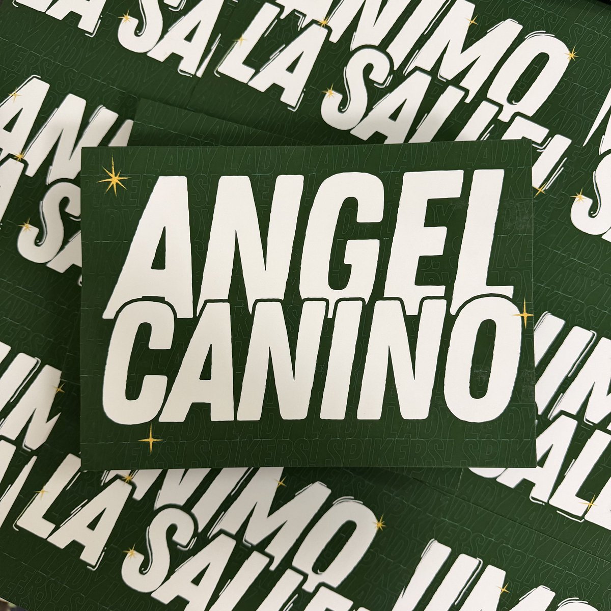 Finals prep is on!! ✨

1,000 b2b banners for the finals are now in the works! (adding to the 1,000+ already funded by our COF during the elims ☺️) 

Want to help flood the arena with even more hand banners? We are open for donations so we could print more! Every ₱15 covers one