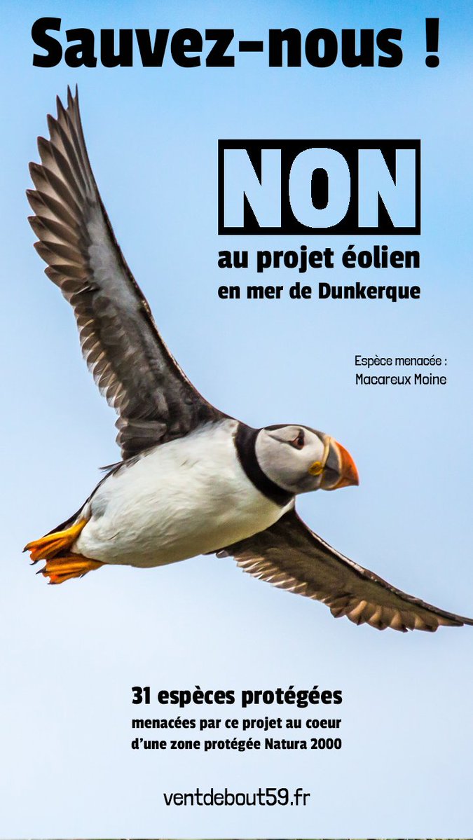 Nathalie D. tweet media