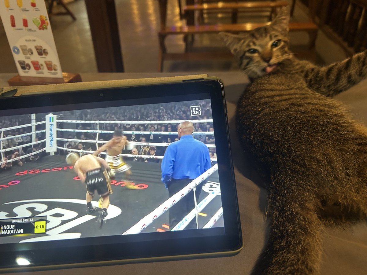 KenzerGray's tweet photo. In a bar in Indonesia watching #InouevNakatani 

Pussy everywhere https://t.co/irLZyrLV6Q