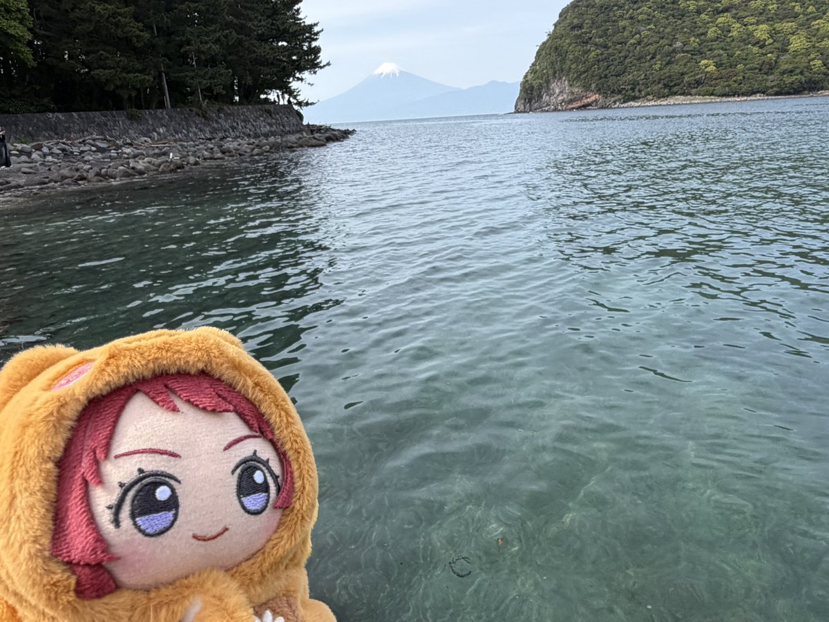 雪🌸咲季P tweet media