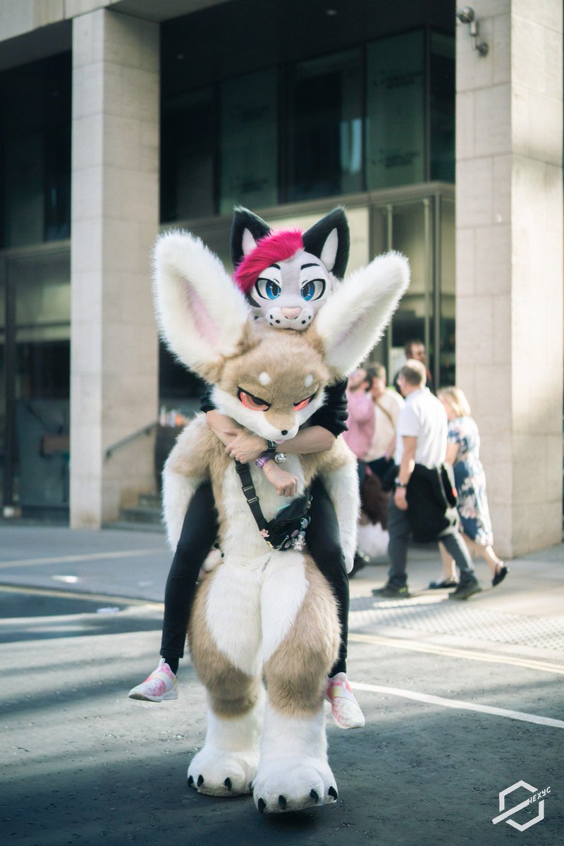 Soju cat ➔ CFZ, Awoostria tweet media
