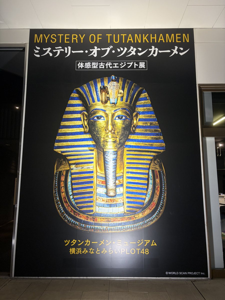 ankimochan3's tweet photo. ツタンカーメンのナイトミュージアム行ってきた💪 https://t.co/aSD58QSSPT