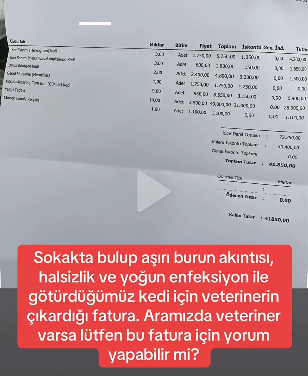 ZAM Haber tweet media