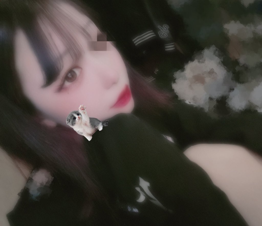 お嬢 tweet media