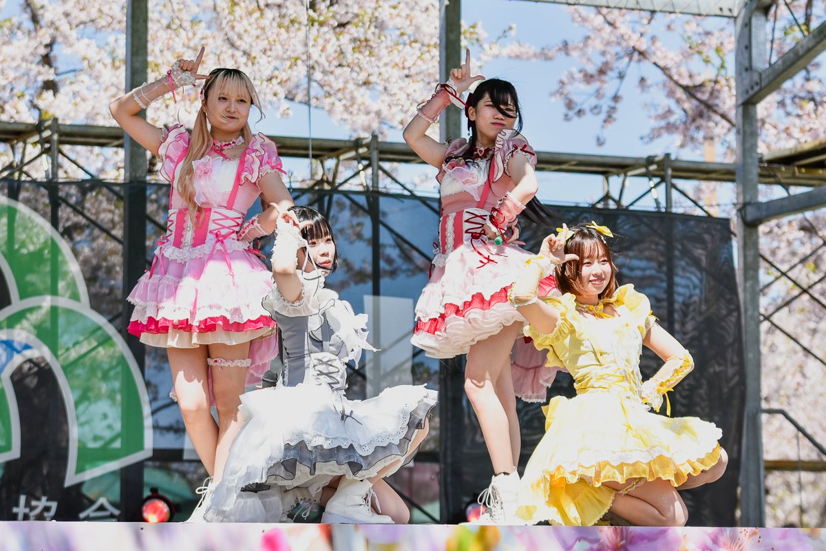 まいてぃ tweet media