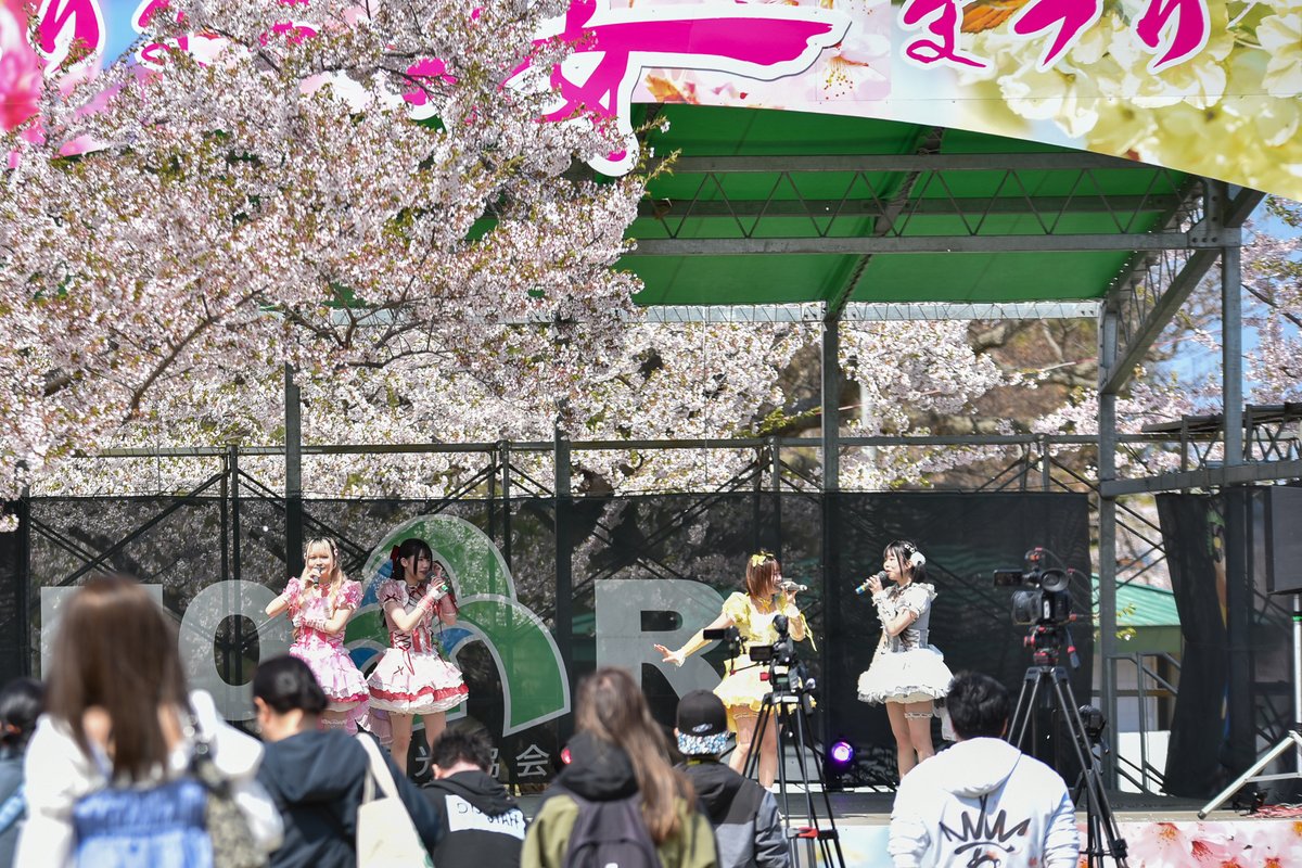 まいてぃ tweet media