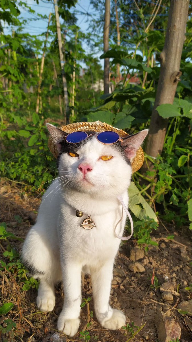𝙋𝙤𝙣𝙞 😾 tweet media