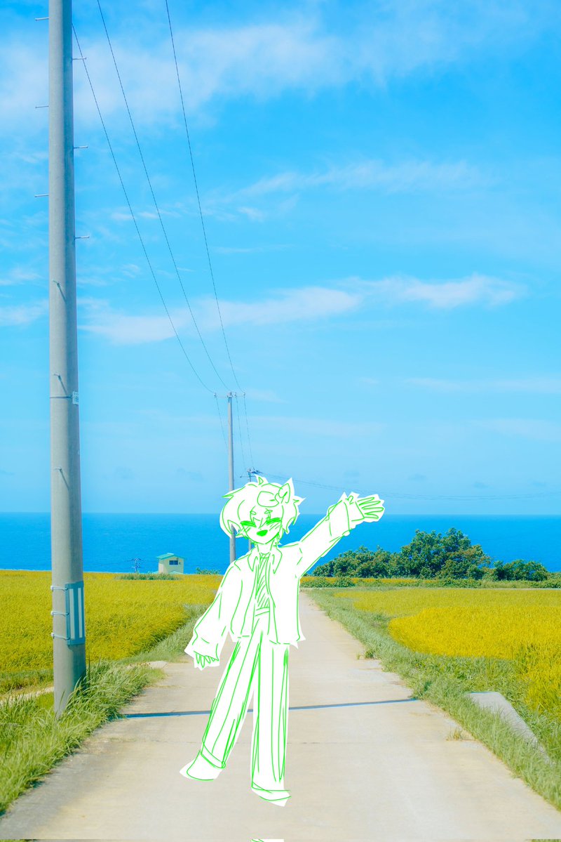 첼베 tweet media