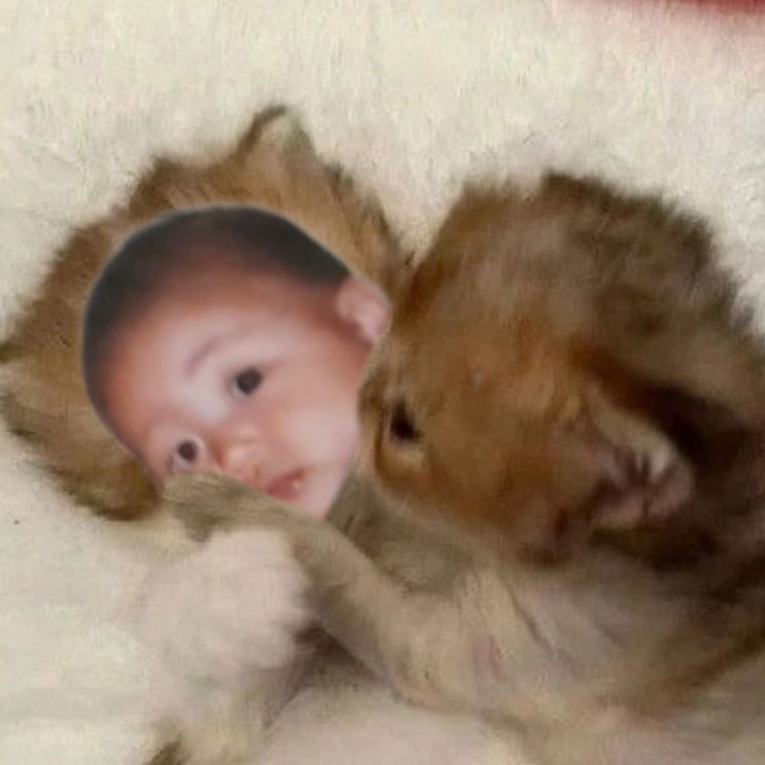 wonbin edits tweet media