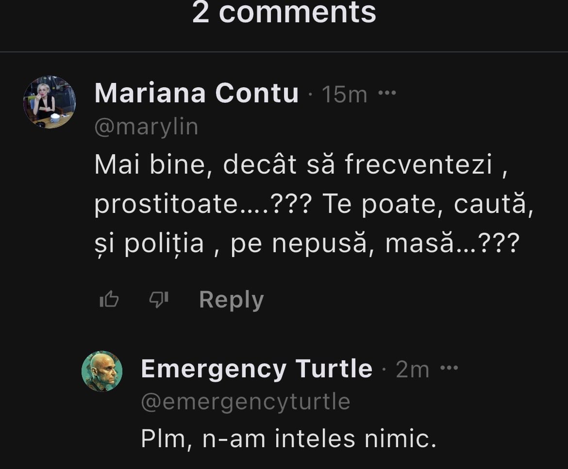 Emergency Turtle tweet media