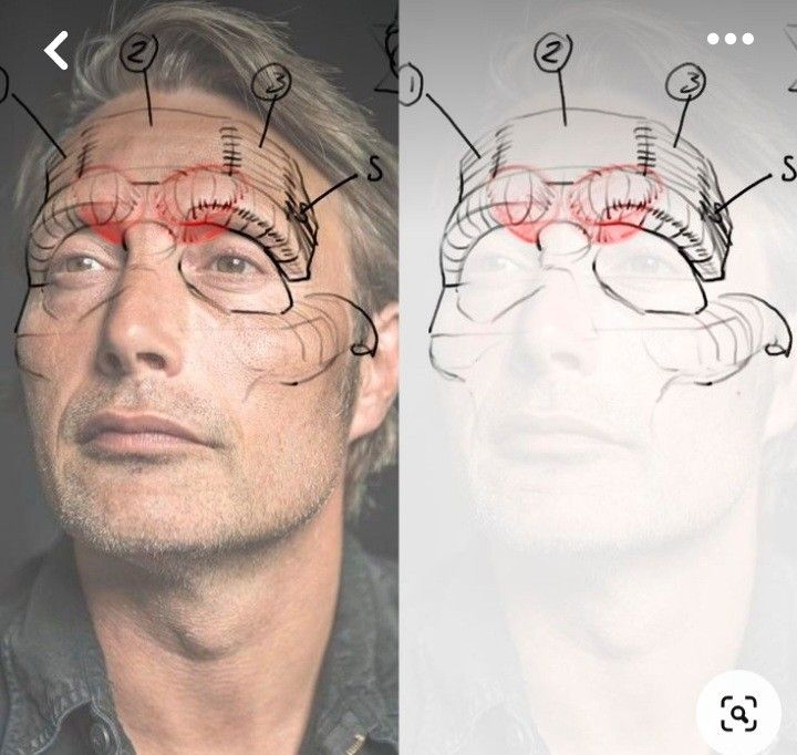 designatlasexp's tweet photo. this changed how I see faces 👀 https://t.co/Y0lupfTZYk