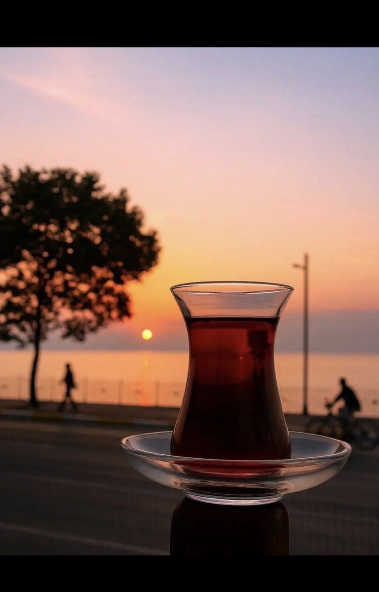 Sezin Deniz tweet media
