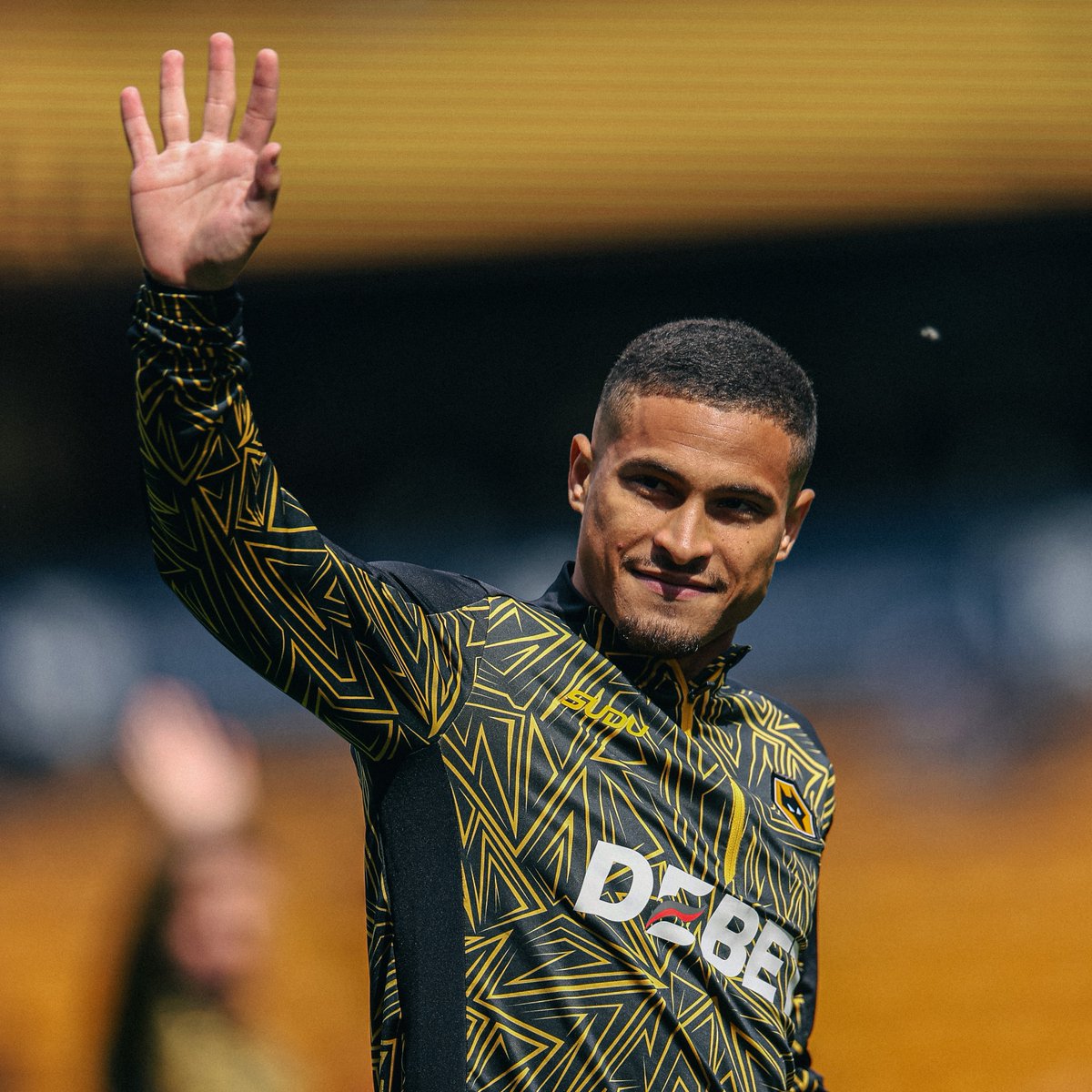 Wolves tweet media