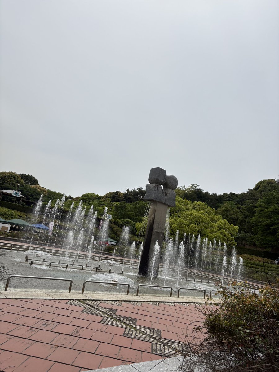 RION tweet media
