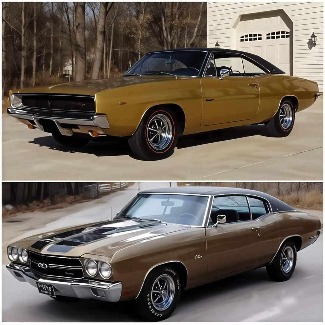 Vintage Cars Collection tweet media