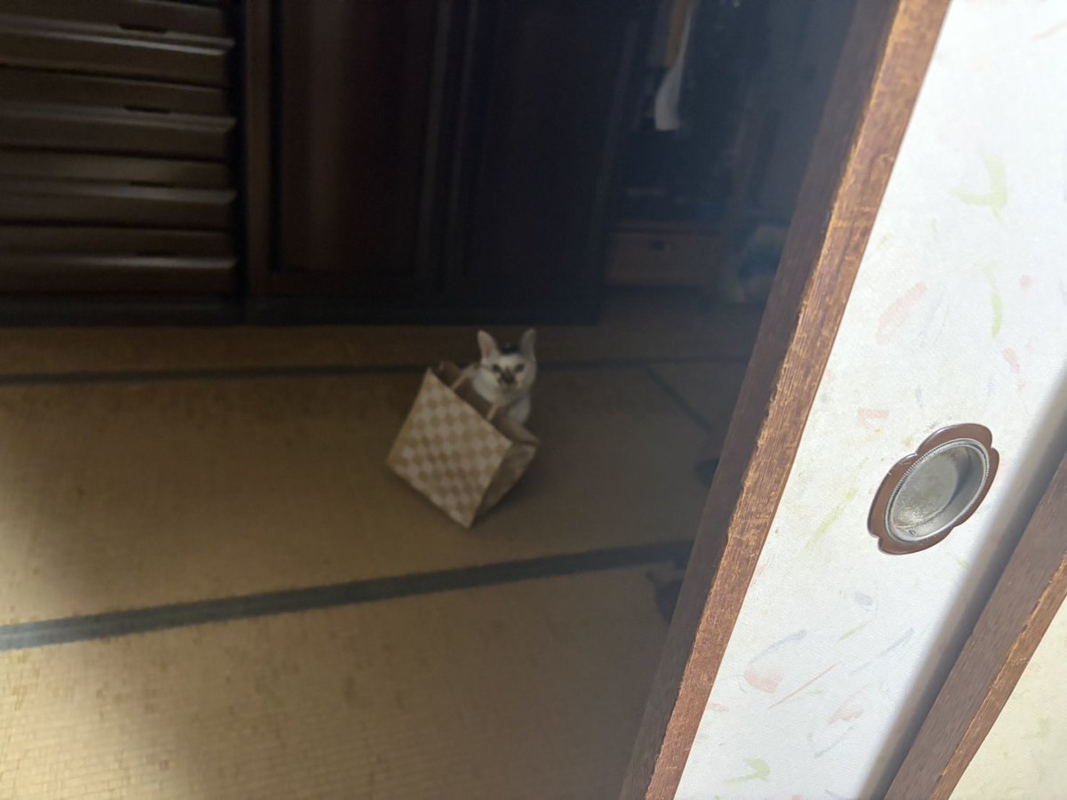 さねより tweet media