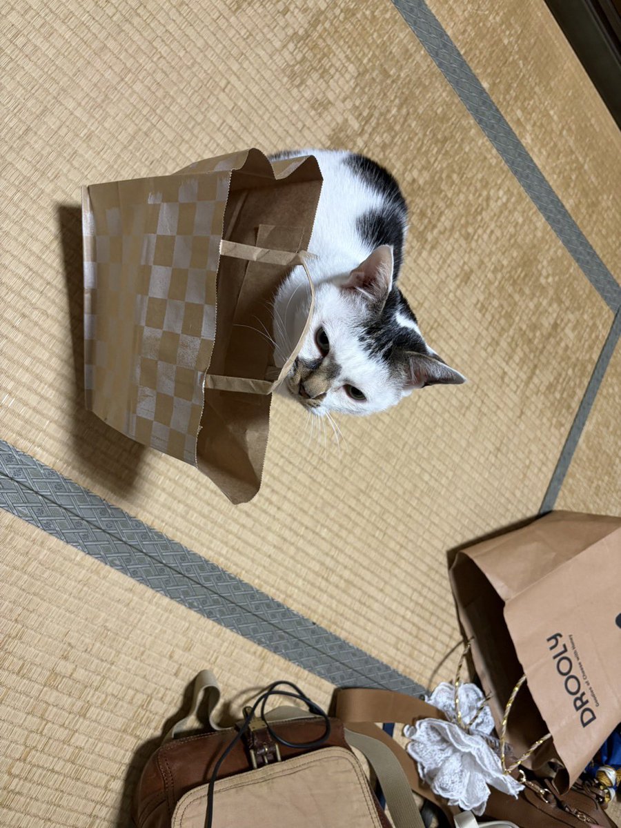 さねより tweet media