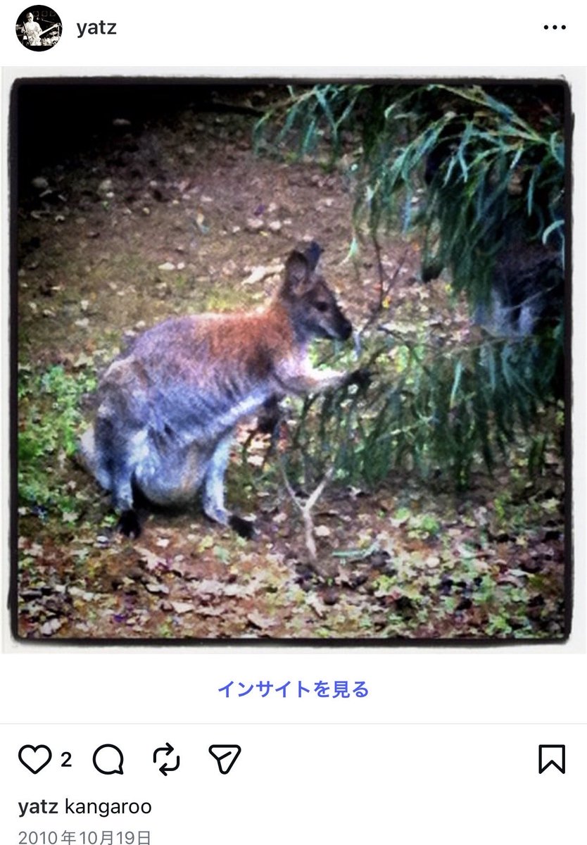 まっさっき tweet media