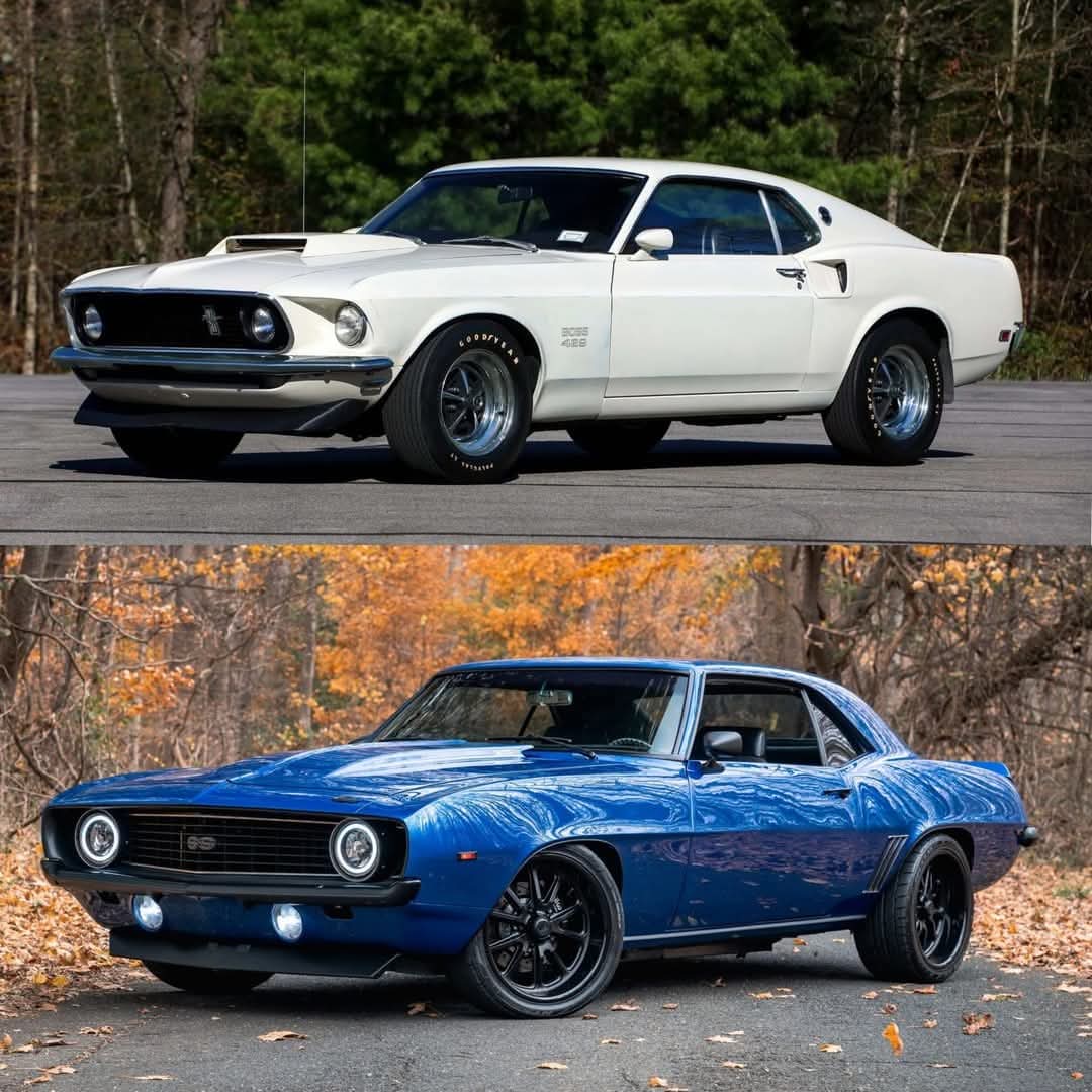 Vintage Cars Collection tweet media