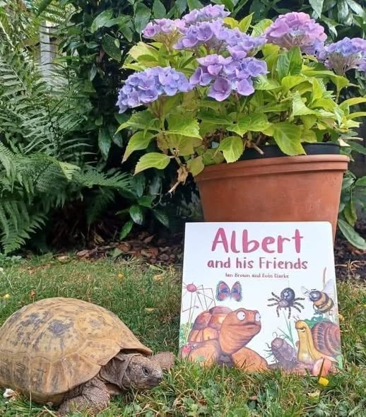 AlbertTortoise's tweet image. Meet our favourite #tortoise and his #garden pals in #ALBERTthetortoise Board Book ALBERT and his Friends. #AvailableNow 3 #ALBERT #BoardBooks, 9 #picturebooks &amp;amp; #ActivityBook Alberttortoise.com
#bookseries #illustrated #bugs #gardenanimals