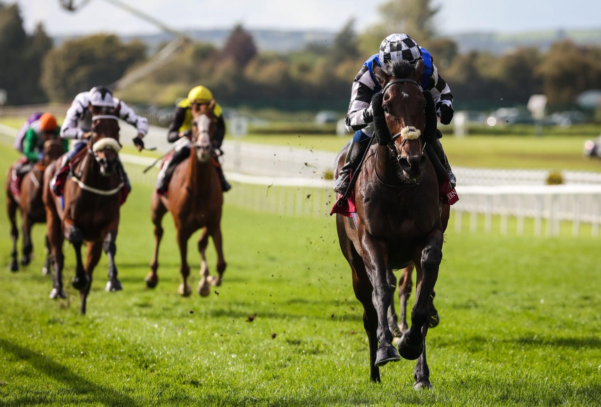 Cheltenham Tips tweet media