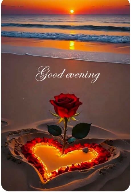 Malik Hameed tweet media