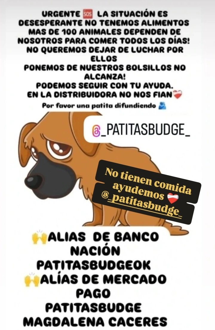 Patitas_ Budge lomasdezamora tweet media
