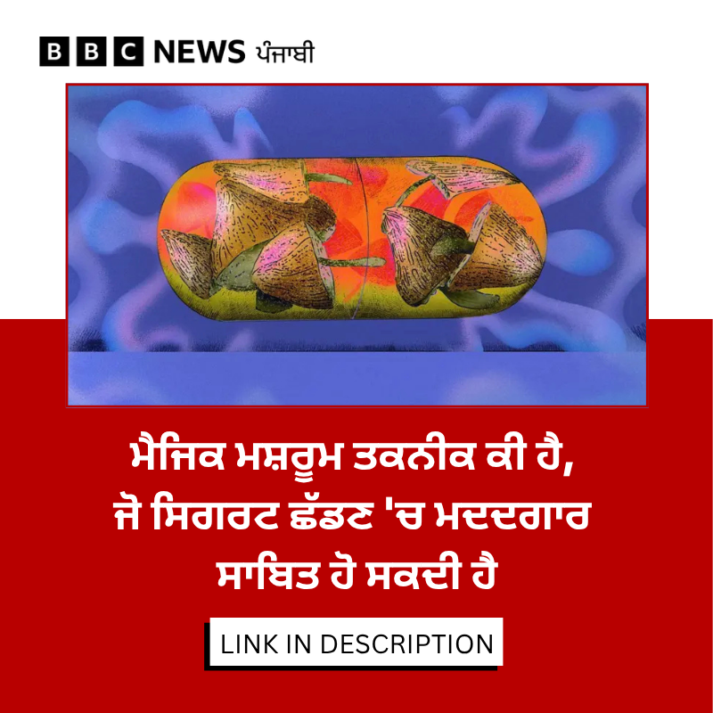 bbcnewspunjabi's tweet image. ਸਿਗਰਟ ਦੀ ਲੱਤ ਆਸਾਨੀ ਨਾਲ ਨਹੀਂ ਛੁੱਟਦੀ ਪਰ ਨਵੀਂ ਖੋਜ ਦੱਸਦੀ ਹੈ ਕਿ ਸਾਈਕੇਡੈਲਿਕ ਦਵਾਈਆਂ ਸਿਗਰਟ ਛੱਡਣ 'ਚ ਮਦਦਗਾਰ ਹੋ ਸਕਦੀਆਂ ਹਨ,  ਕਿਹੜੀਆਂ ਤਕਨੀਕਾਂ ਦਾ ਇਸਤੇਮਾਲ ਮਦਦਗਾਰ ਸਾਬਿਤ ਹੋ ਸਕਦਾ, ਪੜ੍ਹੋ ਪੂਰੀ ਰਿਪੋਰਟ- bbc.in/48E1hWN
#health #Cigarette #medicine