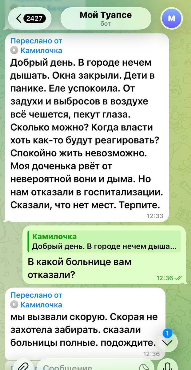 Ольга Мох tweet media