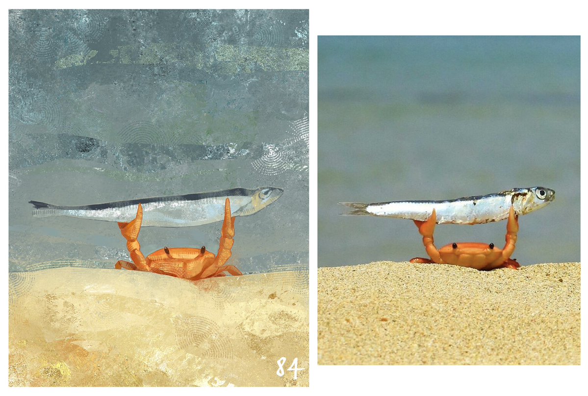 eight84four's tweet image. Day 1
#study #стадик #sketch 

🦀