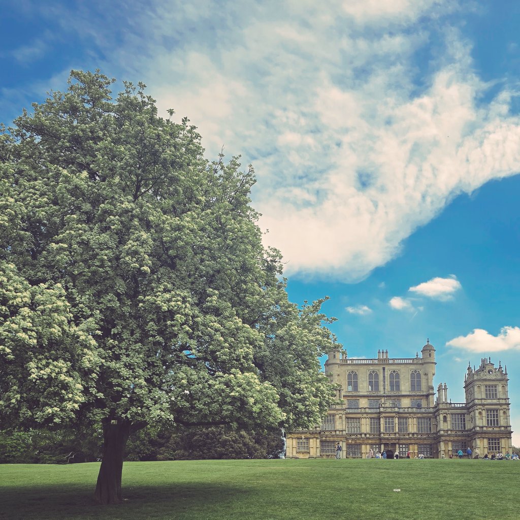 nilgunsengoz's tweet image. what a lovely day at #Nottingham