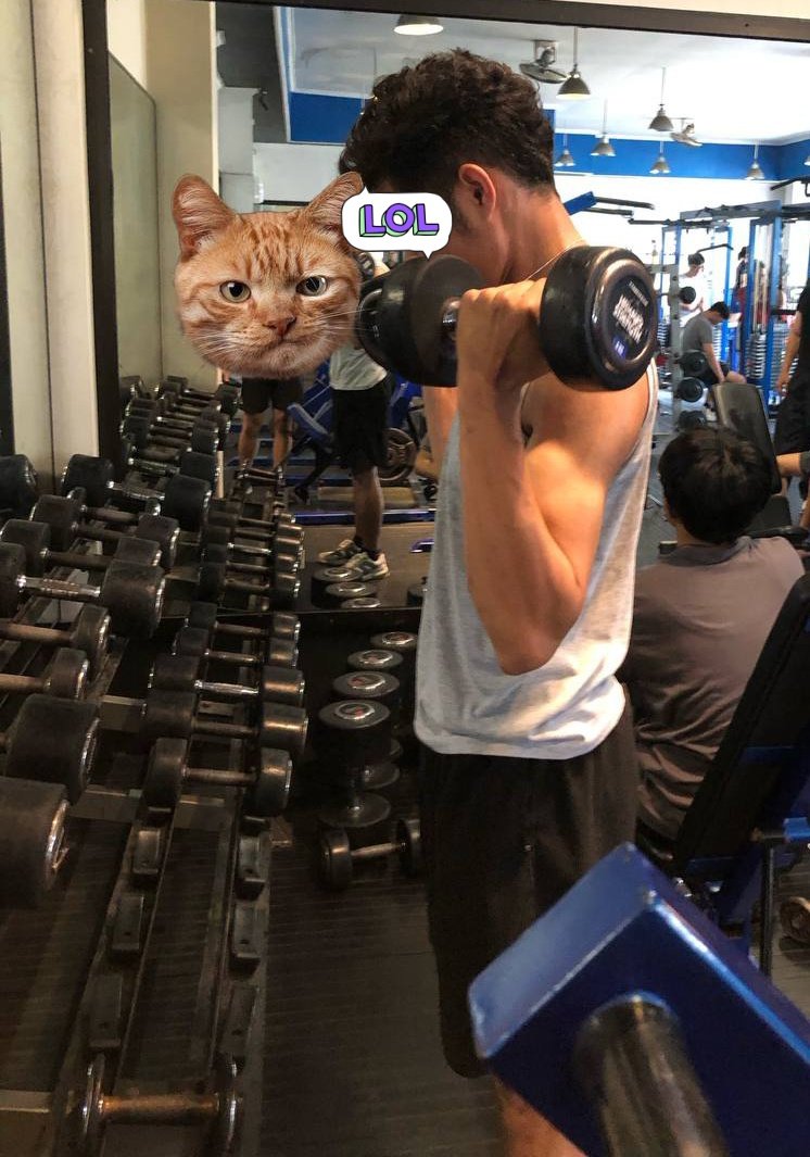 chan543805's tweet image. Pengenya habis gym angkat kamu deh 🤭 #malang #GayMalang