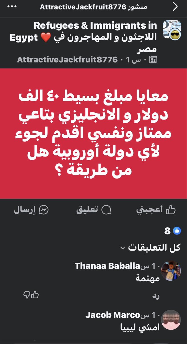 𝓛𝓸𝓵𝓪🇪🇬 tweet media