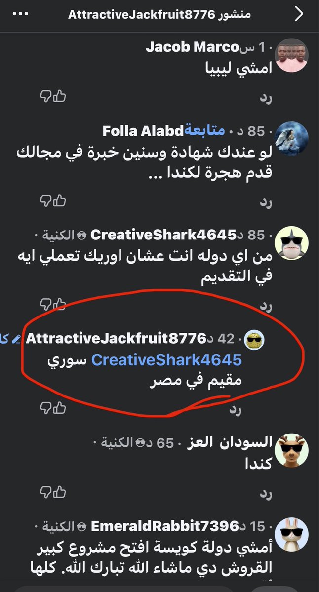 𝓛𝓸𝓵𝓪🇪🇬 tweet media