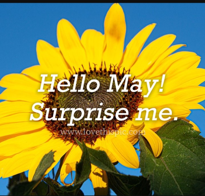 Nathaliatere1's tweet image. Welcome May.
What is impossible for us is only a matter of time for God. "But whoever listens to me will dwell safely, and will be secure, without fear of evil." Proverbs 1:33. #WelcomeMay #MothersDay #HappyMothersDay