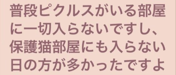 しらす tweet media