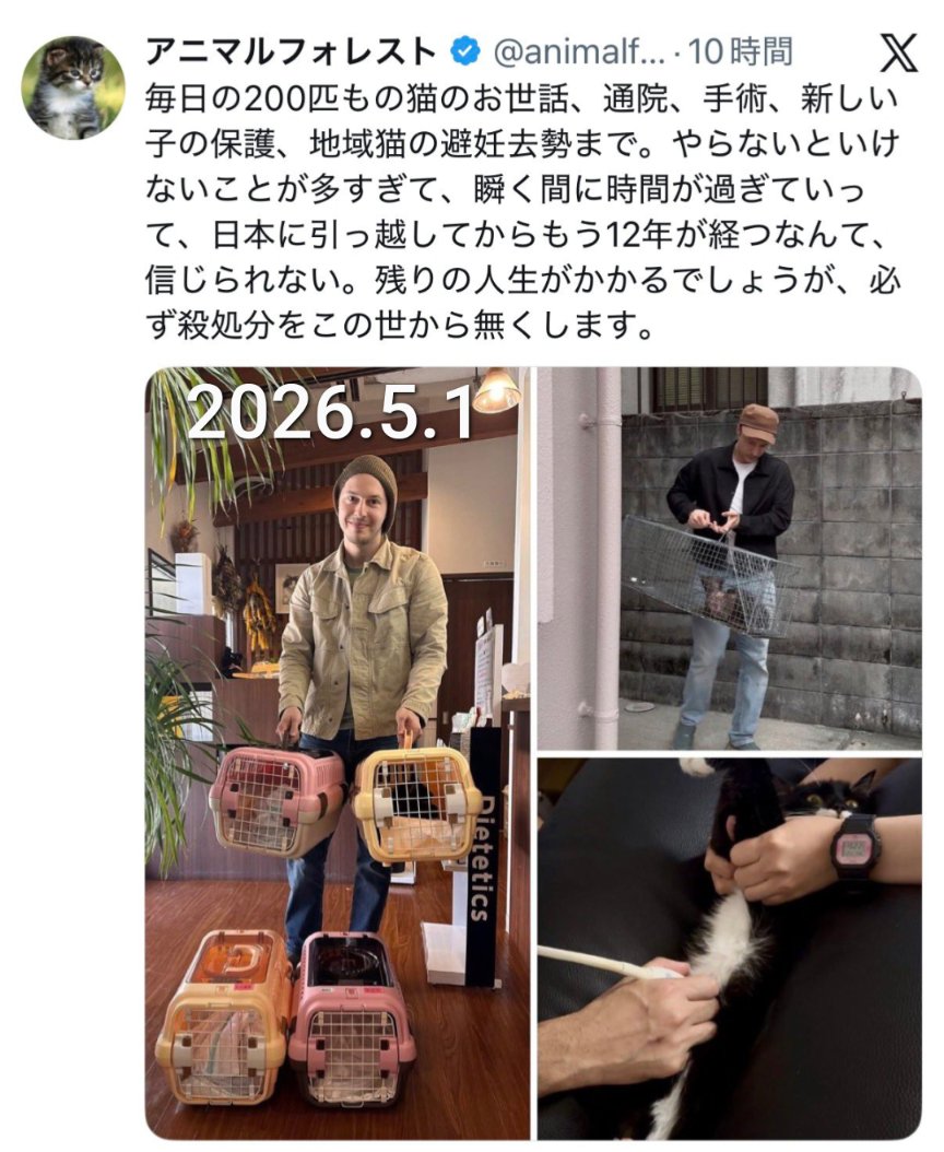 しらす tweet media