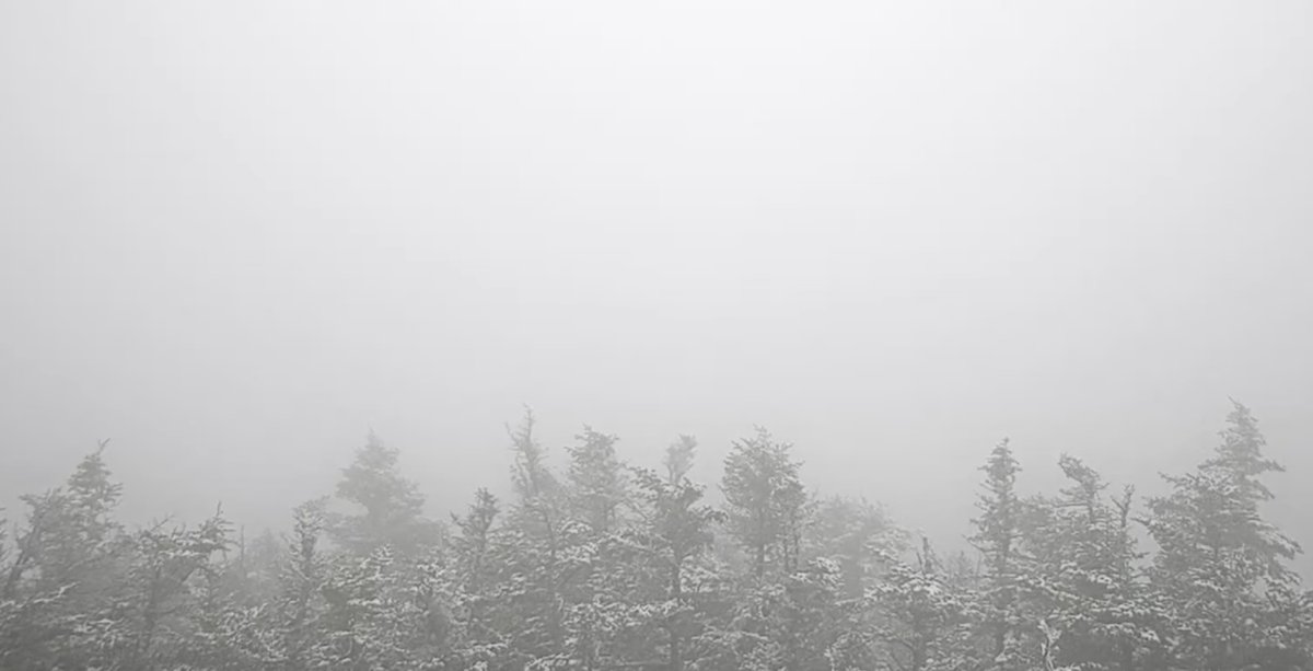mattalltradesb's tweet image. Matt's Weather Rapport: We woke up in #Vermont to a March like, showery morning with snow up in the mountains. It will get better and a little warmer. But next week will either be kinda wet or VERY wet. Details: matttsweatherrapport.blogspot.com/2026/05/a-damp… #vtwx
