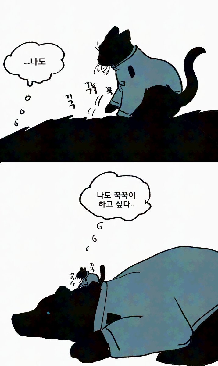 초코보🐤 tweet media