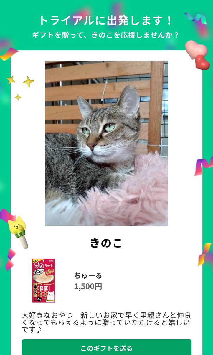 ネコノート【公式】保護猫支援サービス🐈 tweet media