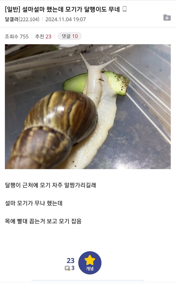 악당수업 tweet media