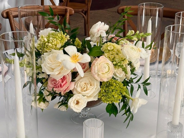 ShutterBoothDet's tweet photo. Spring was in full bloom for the Sullins’ wedding at Planterra Conservatory. Surrounded by greenery and florals, it felt like a true garden celebration from start to finish.

Take a look: https://t.co/OpohtZpe4R https://t.co/0ahWGE2KyN