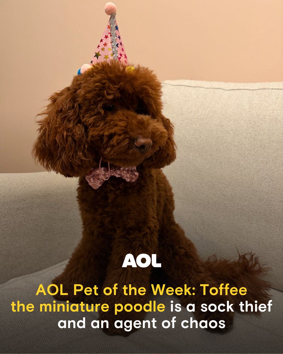 AOL.com tweet media